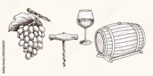 Wine hand drawn sketch style. Bottle, glasses, grape vine, barrel, corkscrew. Vector illustrations isolated design elements.