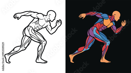 Two illustrations of a running man, one showing detailed muscle anatomy in black and white outline, and the other with colored muscle groups on a dark background.