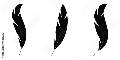 Bird feather icon isolated on a white background. Black abstract feather silhouette collection. Elegance feather element decoration.