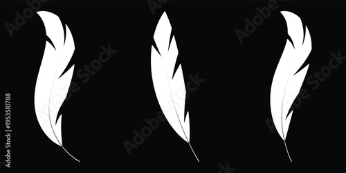 Set of white bird feather silhouettes isolated on black background