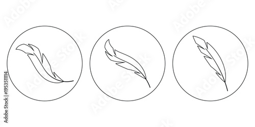 Minimalist Feather Line Art Set, Hand Drawn Vector Quill and Plume Illustrations