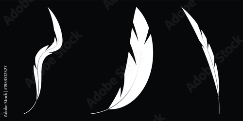Set of white bird feather silhouettes isolated on black background
