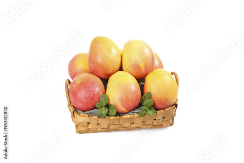 Fresh Hainan Mangoes in Wicker Basket - Sweet Tropical Fruit with Big Juicy Pulp on White Background