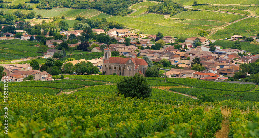 Fototapeta premium Village in France in green vineyard
