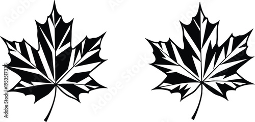 Black Maple Leaf Silhouette Vector Design - Decorative Canadian Symbol Illustration with Botanical Nature Elements for Graphic Design Projects and Creative Templates