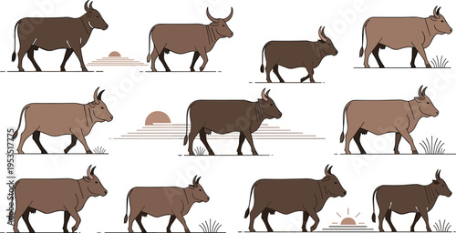 Cow walking poses vector set with different cattle silhouettes farm animals and rural livestock illustration design