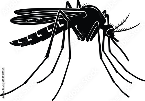 Detailed mosquito silhouette vector illustration isolated on white background for pest control services health awareness malaria prevention and insect biology educational graphic projects