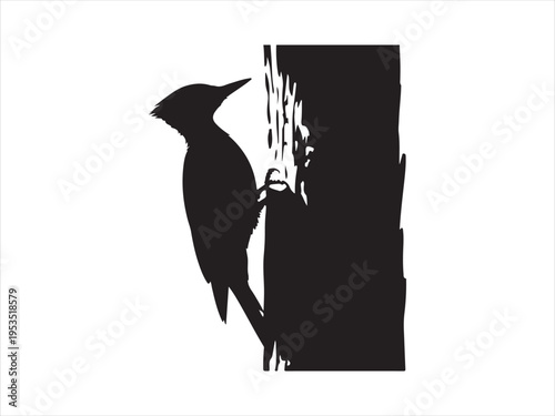 Black silhouette of a woodpecker on a tree trunk bird, Woodpecker bird on tree trunk silhouette wildlife nature vector illustration
