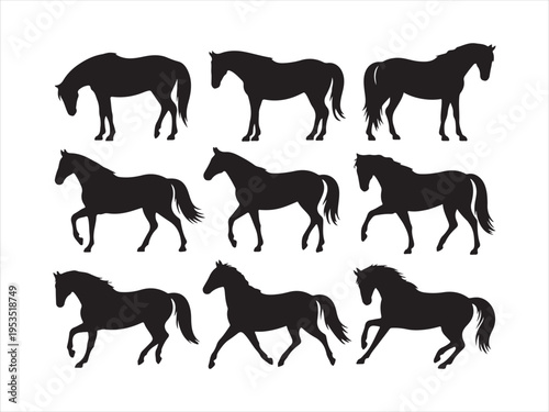 Vector horse silhouettes in various active poses: running, rearing, trotting, walking farm animals vector illustration