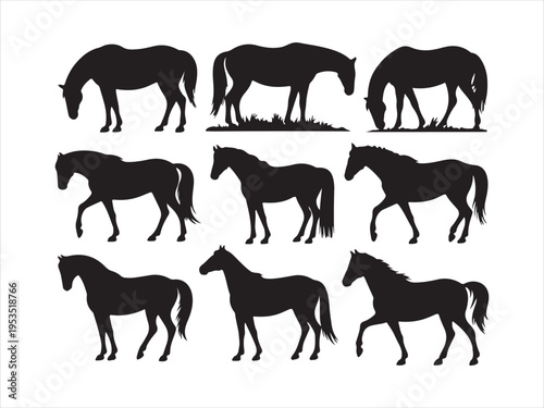 Vector horse silhouettes in various active poses: running, rearing, trotting, walking farm animals vector illustration