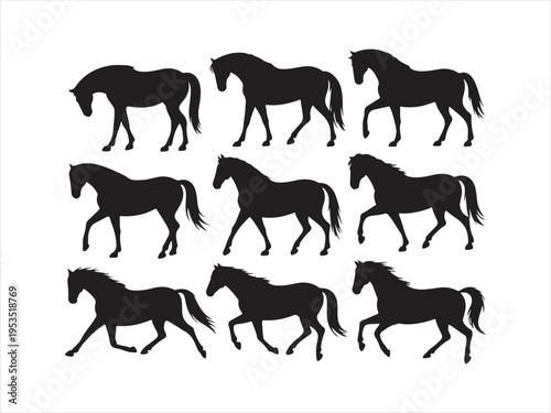 Vector horse silhouettes in various active poses: running, rearing, trotting, walking farm animals vector illustration