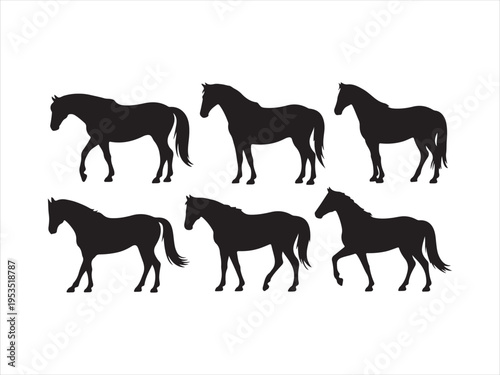 Vector horse silhouettes in various active poses: running, rearing, trotting, walking farm animals vector illustration