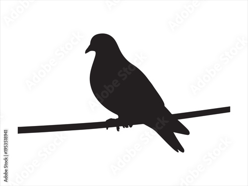 A black silhouette of a pigeon bird sitting on a branch, Silhouette of pigeon sitting on branch, bird nature vector illustration