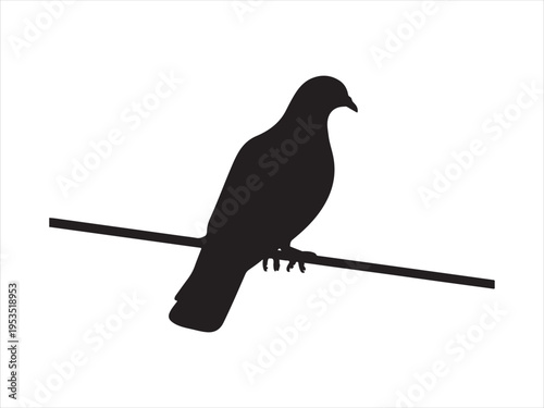 A black silhouette of a pigeon bird sitting on a branch, Silhouette of pigeon sitting on branch, bird nature vector illustration