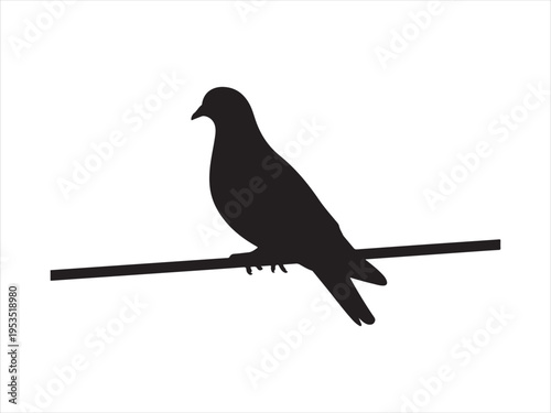 A black silhouette of a pigeon bird sitting on a branch, Silhouette of pigeon sitting on branch, bird nature vector illustration