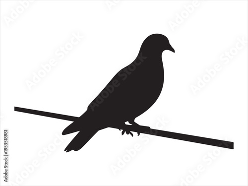 A black silhouette of a pigeon bird sitting on a branch, Silhouette of pigeon sitting on branch, bird nature vector illustration