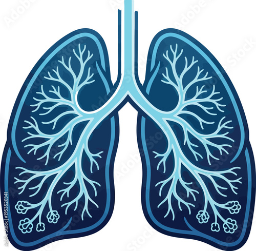 Lungs anatomy icon