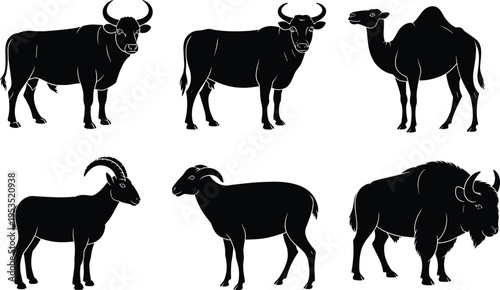 Black silhouette collection of domestic and wild animals including bull, cow, camel, mountain goat, ram, and bison isolated on white background for vector design