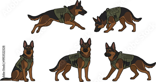 Dynamic vector collection of highly trained German Shepherd working dogs, illustrating their powerful presence, agility, and attentive nature in various duty-ready poses