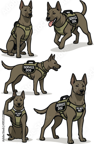 Dynamic vector illustrations showcasing a vigilant working dog in various essential service poses, complete with its functional assistance vest, perfect for graphic design projects