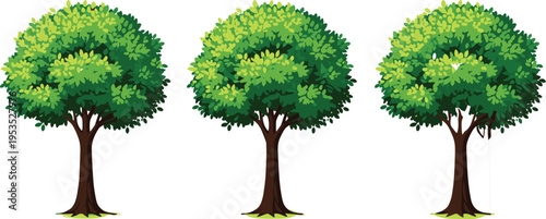 Green leafy tree vector illustration set, lush forest trees with dense foliage isolated on transparent background, nature plant design elements for landscape and eco themes