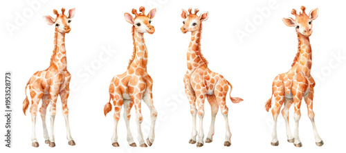 Giraffe calfs portraying innocence and natural african wildlife, standing with their distinctive spotted patterns and long necks, created as an adorable watercolor illustration