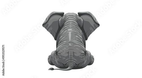 A gray baby elephant sits with its back to the viewer on a pristine white background.