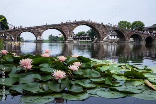 Guangji Bridge Tangqi Town Ancient Architecture with Water Lilies