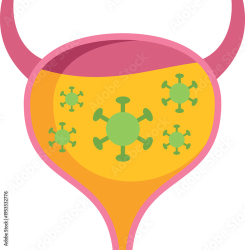 Bladder shows viruses or bacteria causing an infection in the urinary tract