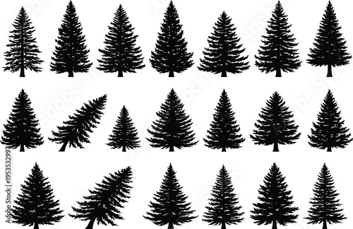 Evergreen pine and fir tree silhouettes collection, conifer forest trees isolated on white background, Christmas tree vector icon set for winter nature landscape design