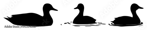 Duck swimming silhouette set with a minimalist vector illustration of a duck gliding through water featuring duck, water, birds with black and white and silhouette