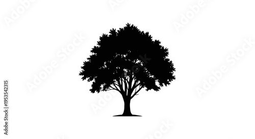 Silhouette of a large oak tree with lush green foliage on a white background