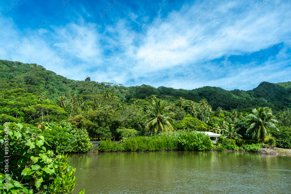 Obraz premium Mangrove on the Coast of Tahaa Island, French Polynesia