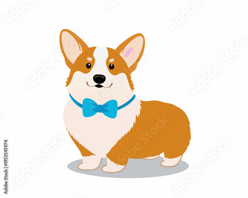 An adorable corgi dog wearing a blue bow tie stands cheerfully