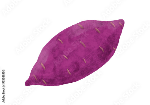 Watercolor Japanese sweet potato illustration isolated