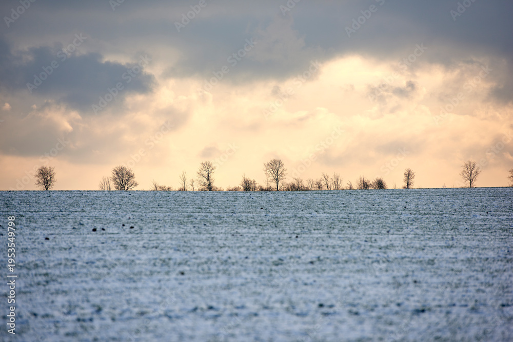 Fototapeta premium Snow, landscape and field with clouds, trees and environment for agriculture with cold weather. Winter, countryside and farm with horizon, meadow and rural plains outdoor in nature in Iceland