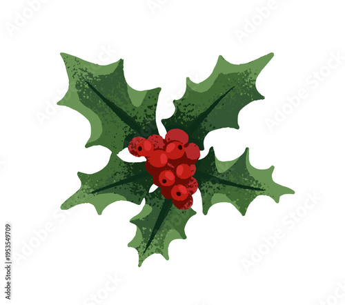 Christmas mistletoe. Holly berry for Xmas decoration. Branch with leaves, red bunch for winter holidays. Design element of New Year decor. Flat isolated hand drawn vector illustration on white