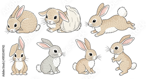 Adorable collection of various rabbit breeds in different poses, showcasing their unique characteristics and charm.