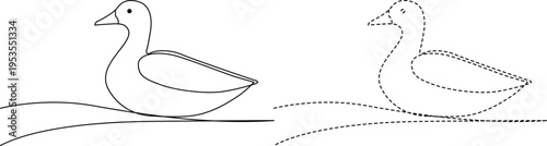 Mathematical transformation of a teardrop shape through different contour lines Vector
