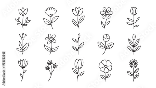 Set of 15 black and white botanical flower line flowers