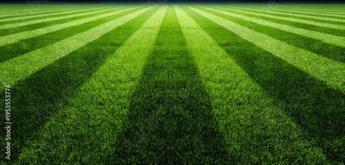 Vibrant Green Lawn with Perfectly Striped Pattern and Dramatic Shadows.