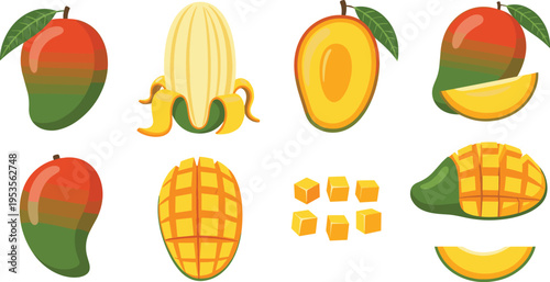 Mango Fruit Vector Illustration Set with Whole, Sliced, Cubed Pieces, Peel, and Tropical Fresh Food Elements Collection