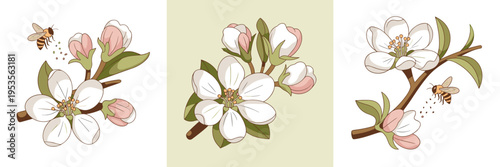 Fruit tree flower and bee pollination vector set – Ideal for honey production labels, farm shop signage, or botanical education.