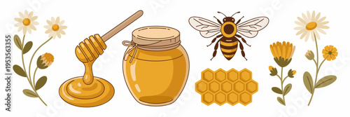 Minimalist honey and bee illustration set – Suitable for food logos.