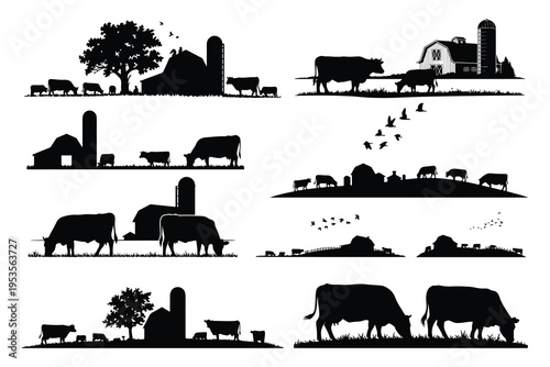 Black silhouettes of cows grazing near barns and silos