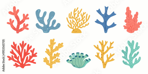 Colorful coral reef illustrations a diverse collection of marine life forms