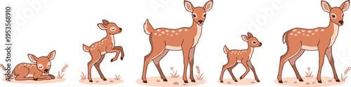 Cute Deer Cartoon Vector Set with Fawn and Adult Stag Forest Wildlife Characters in Different Poses for Nature Illustration Kids Design Collection