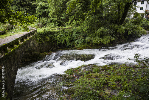 Wuyuan Gorge Stream - Tuochuan Rapids with Stone Bridge and Lush Vegetation