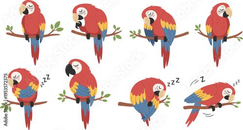 Cute Parrot Sleeping and Resting Cartoon Collection, Colorful Macaw Birds on Tree Branch in Different Poses for Wildlife, Nature Illustration Vector Set