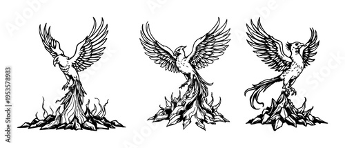 Phoenix bird set with detailed woodcut style illustration featuring mythical aesthetic, black ink, white background with rising from ashes and decorative elements